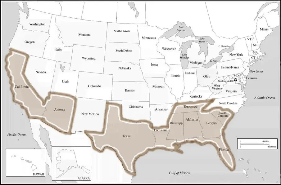 Brown Widow Range Map