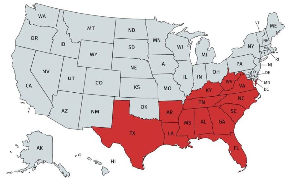 Phidippus Regius Regal Jumping Spider USA Spiders