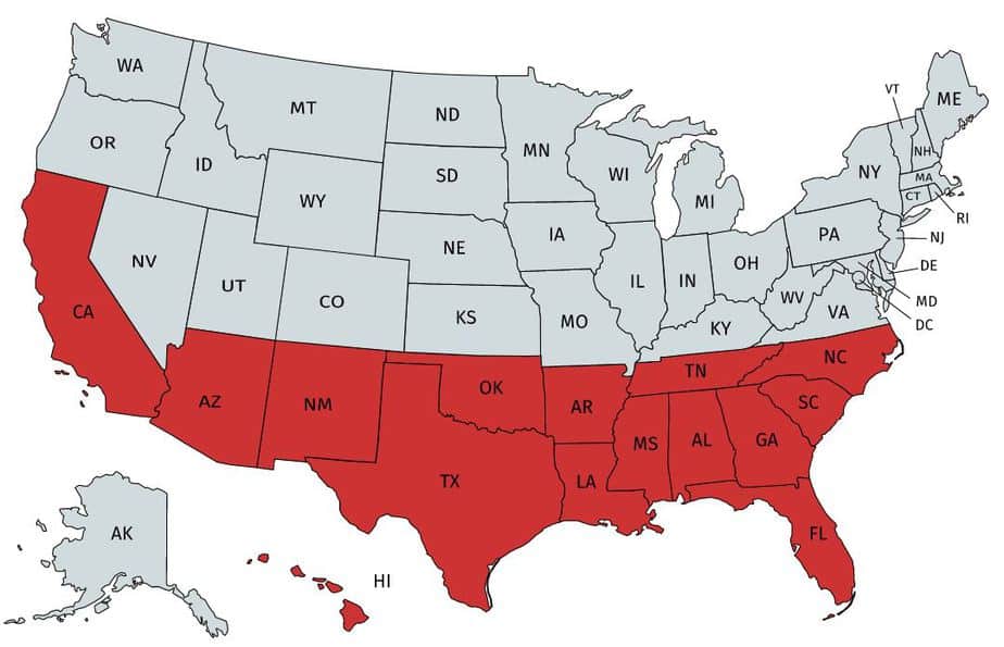 Trichonephila Clavipes Banana Spider USA Spiders
