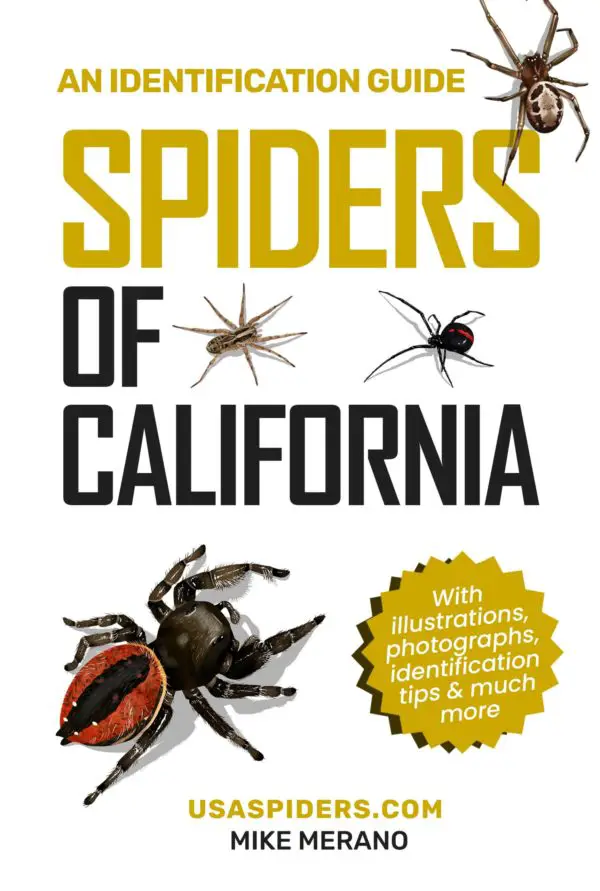California spiders cover ebook