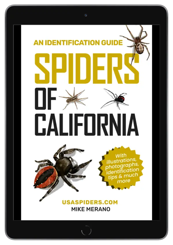 California spiders cover ebook_ipad_spacegrey_portrait