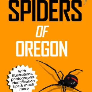 Oregon Spiders Book Cover