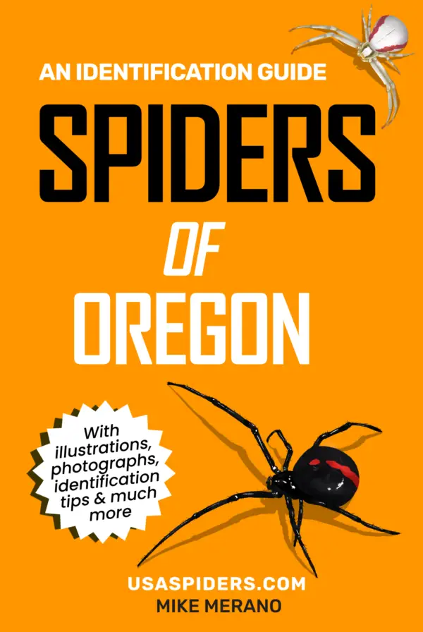 Oregon Spiders Book Cover